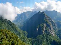Vue des montagnes et forêts luxuriantes de La Réunion